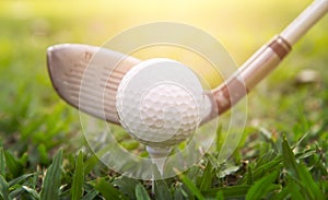 Golf club and ball in grass