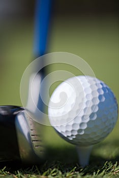 Golf club and ball in grass