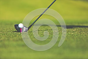 Golf club and ball in grass at the Golf course. White Golf ball on Green field golf course in morning time with sun light