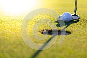 Golf club and ball in grass at the Golf course. White Golf ball on Green field golf course in morning time with sun light