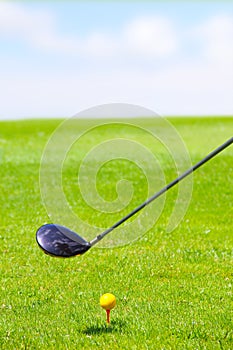 Golf club and ball on green grass