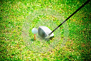 Golf club and ball in green grass