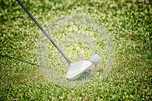 Golf club and ball in green grass