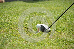 Golf club and ball in green grass