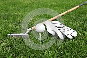 Golf club with ball, tee and glove on  grass
