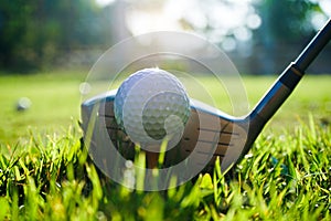 Golf club and ball on tee in grass. Golf balls on the golf course with golf clubs ready for the first short. In the morning, with