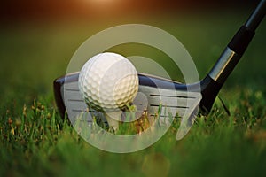 golf club and golf ball close up in grass field with sunset. Golf ball close up in golf coures