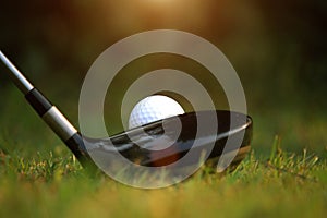 golf club and golf ball close up in grass field with sunset. Golf ball close up in golf coures