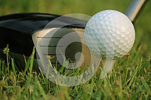 golf club and golf ball close up in grass field with sunset. Golf ball close up in golf coures