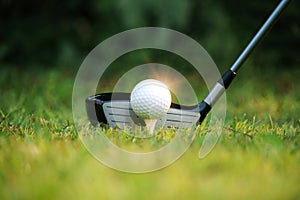 golf club and golf ball close up in grass field with sunset. Golf ball close up in golf coures