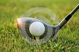 golf club and golf ball close up in grass field with sunset. Golf ball close up in golf coures