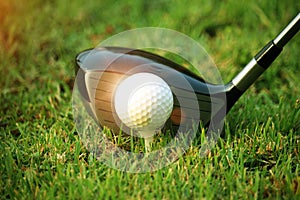 golf club and golf ball close up in grass field with sunset. Golf ball close up in golf coures