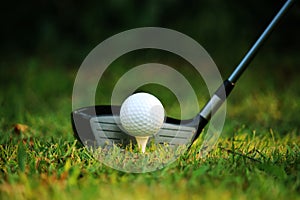 golf club and golf ball close up in grass field with sunset. Golf ball close up in golf coures