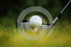 golf club and golf ball close up in grass field with sunset. Golf ball close up in golf coures