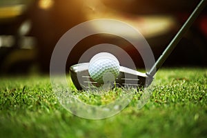 golf club and golf ball close up in grass field with sunset. Golf ball close up in golf coures