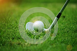 golf club and golf ball close up in grass field with sunset. Golf ball close up in golf coures