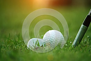 golf club and golf ball close up in grass field with sunset. Golf ball close up in golf coures