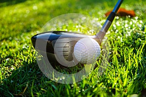 Golf club and golf ball close up in grass field with sunset. Golf ball close up in golf coures at Thailand