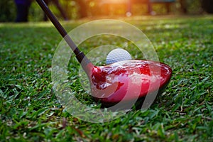 Golf club and golf ball close up in grass field with sunset. Golf ball close up in golf coures at Thailand