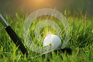 Golf club and golf ball on green grass in the evening golf course with sunshine