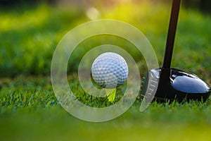 Golf club and golf ball on tee close up in grass field with morning sunshine