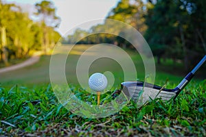 Golf clubs and golf balls on a green lawn in a beautiful golf course with morning sunshine. golf ball on green grass ready to hit