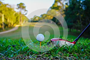 Golf clubs and golf balls on a green lawn in a beautiful golf course with morning sunshine. golf ball on green grass ready to hit