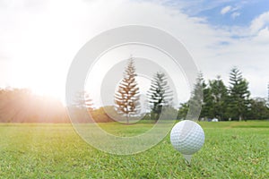 Golf concept : Golf ball on golf course, an golf ballset up for