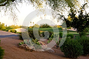 Golf course in the Arizona desert