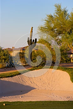 Golf course in the Arizona desert