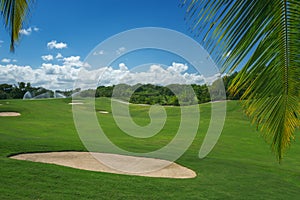 Golf course. Beautiful landscape of a golf court with palm trees