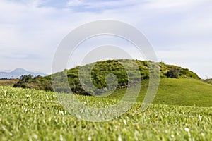 Golf course in Belek. Green grass on the field. Blue sky, sunny