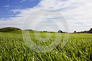 Golf course in Belek. Green grass on the field. Blue sky, sunny