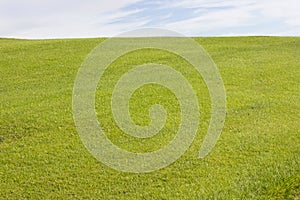 Golf course in Belek. Green grass on the field. Blue sky, sunny