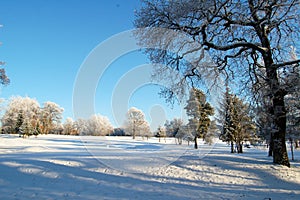 Golf course at Bellshill, Lanarkshire in winter photo