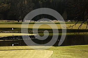 A golf course with roads, bunkers and ponds and with flag photo