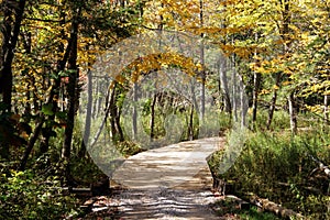 Golf Course Cart Path in Fall
