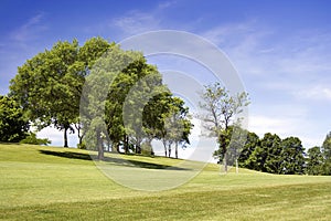 Golf Course Checkered Flag