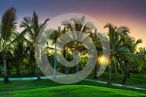 Golf course in the countryside. Punta Cana beach resort, Dominican Republic