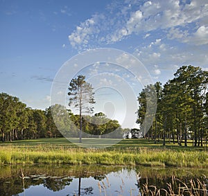 Golf course fairway with trees and pond in late afternoon sun