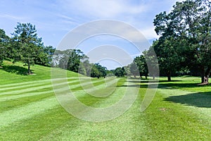Golf Course Fairway Trees Scenic Landscape