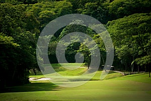 Golf course fairway at tropical resort photo