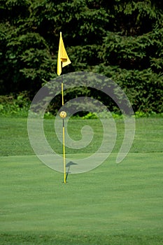 Golf Course, golf green with flag in the hole