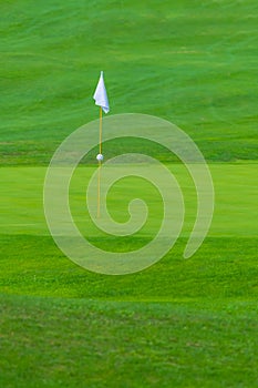 Golf Course, golf green with flag in the hole