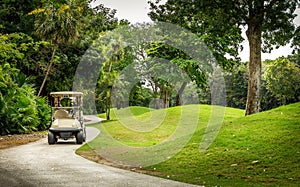 Golf course and golfcart photo