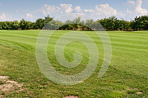 The golf course; grass in the KamieÅ„ ÅšlÄ…ski Gross Stein -