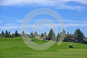 Golf course, green fairway