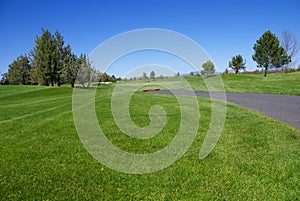 Golf course, green fairway