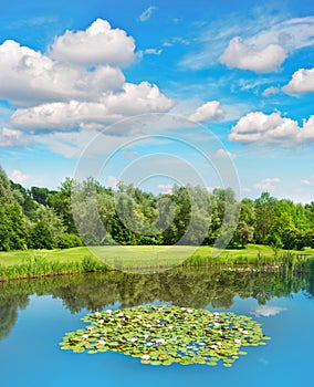 Golf course green field lake blue sky European landscape