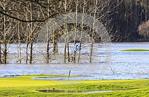 Golf course green flooded after extreme rainfall